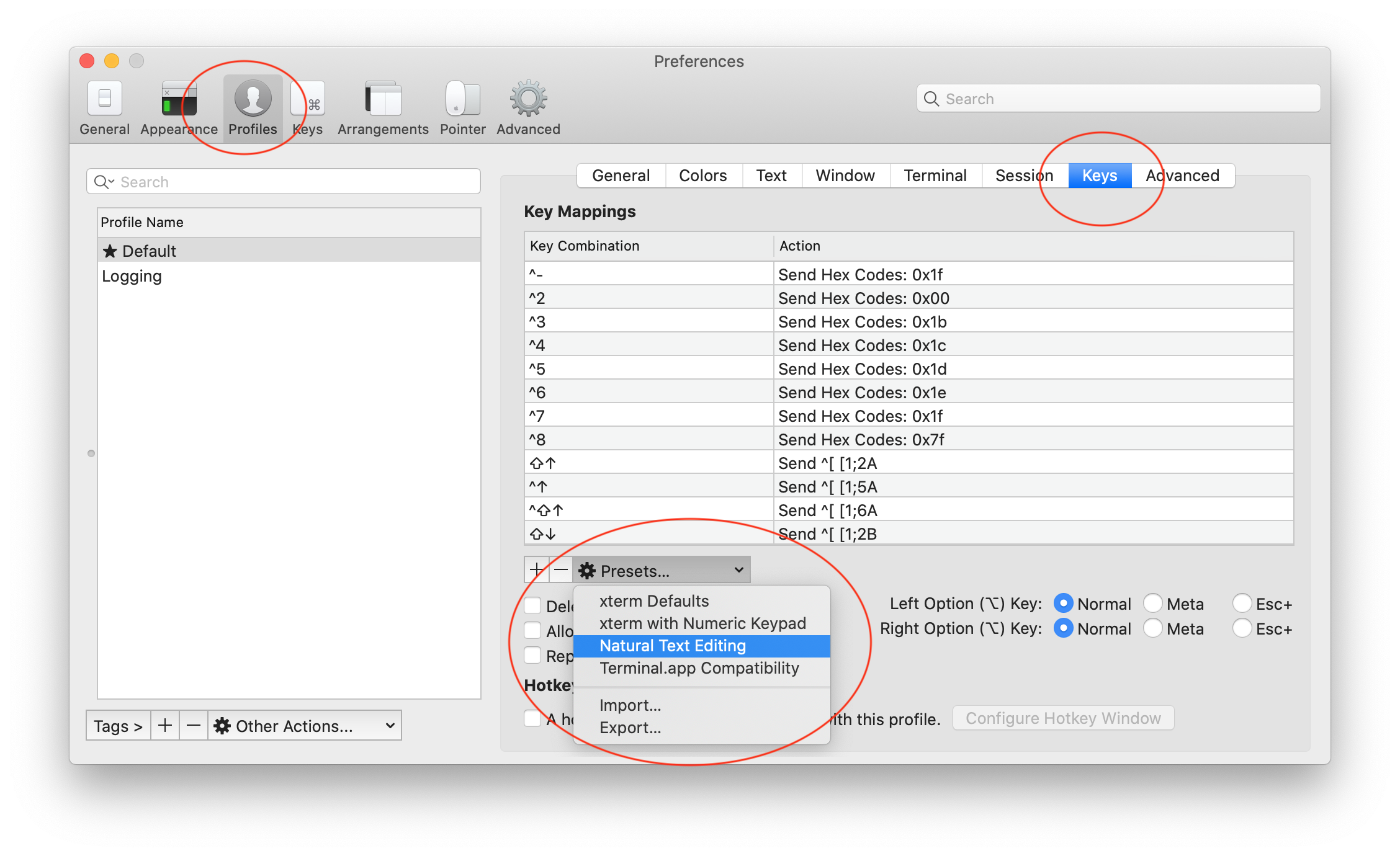 iTerm2 preferences pane